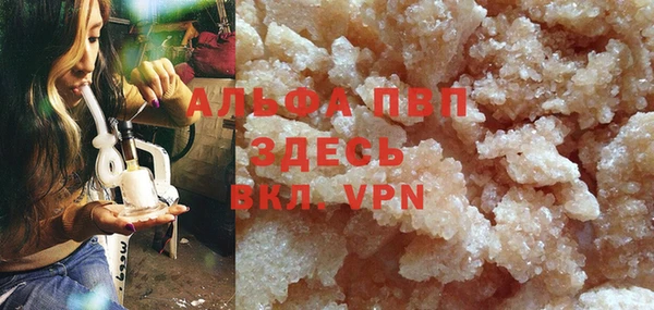 стаф Покачи