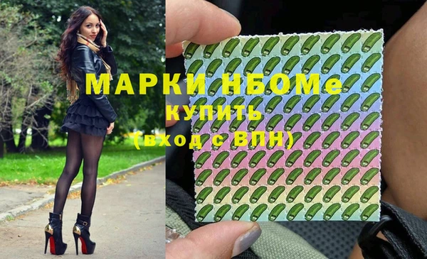 стаф Покачи