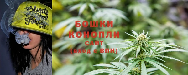 стаф Покачи