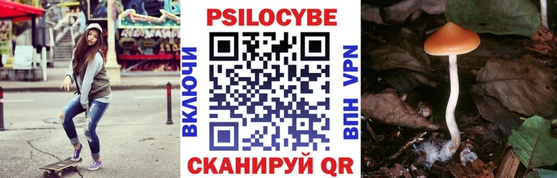 Купить  Чусовой  Псилоцибиновые грибы мухоморы 